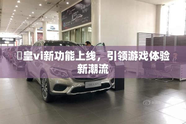 嘼皇vi新功能上线，引领游戏体验新潮流