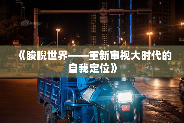 《睃睨世界——重新审视大时代的自我定位》