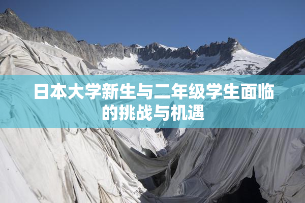 日本大学新生与二年级学生面临的挑战与机遇