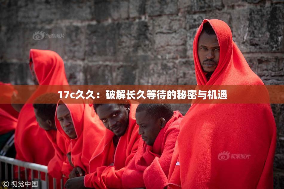 17c久久：破解长久等待的秘密与机遇