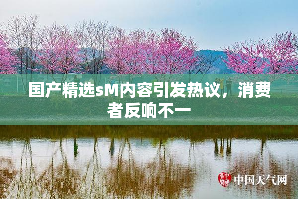 国产精选sM内容引发热议，消费者反响不一