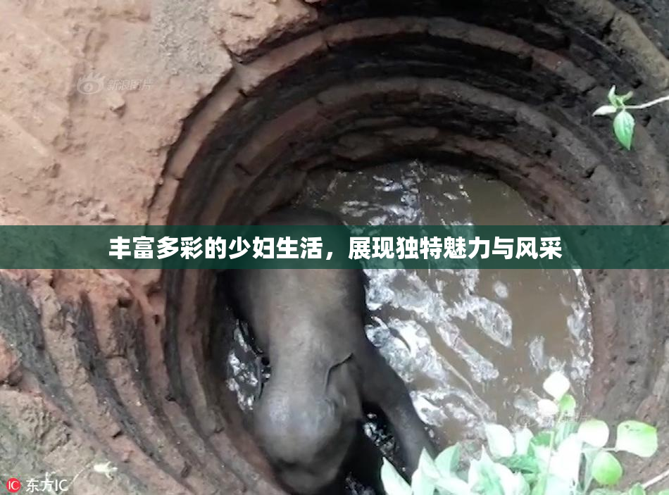 丰富多彩的少妇生活，展现独特魅力与风采
