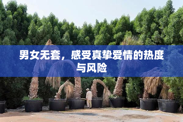 男女无套，感受真挚爱情的热度与风险