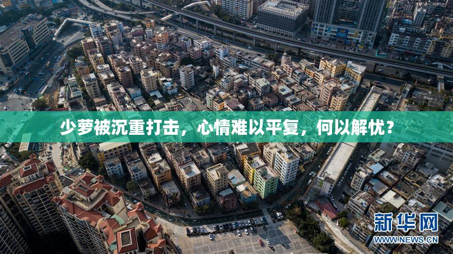 少萝被沉重打击，心情难以平复，何以解忧？