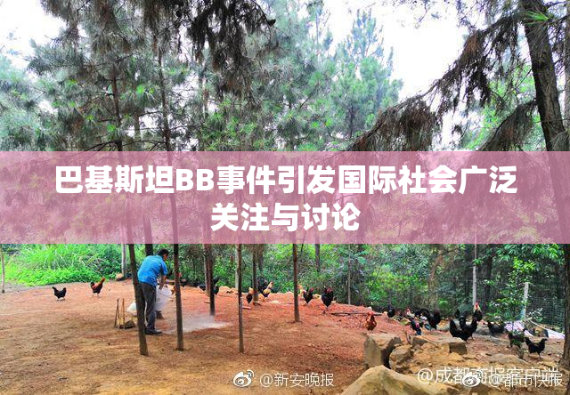 巴基斯坦BB事件引发国际社会广泛关注与讨论