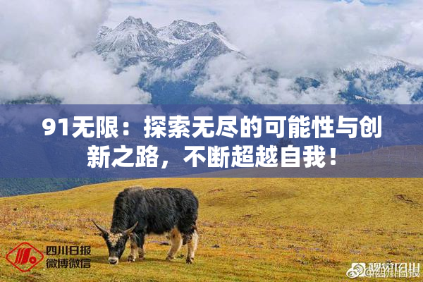 91无限：探索无尽的可能性与创新之路，不断超越自我！