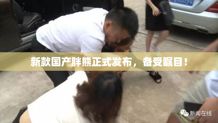 新款国产胖熊正式发布，备受瞩目！