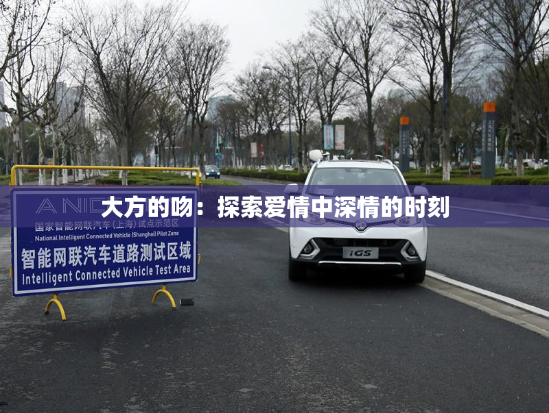 大方的吻：探索爱情中深情的时刻