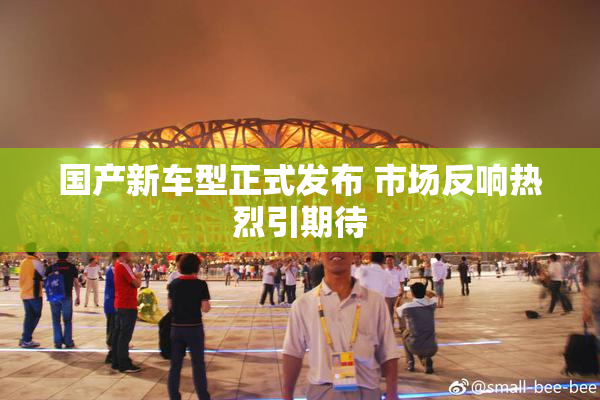 国产新车型正式发布 市场反响热烈引期待