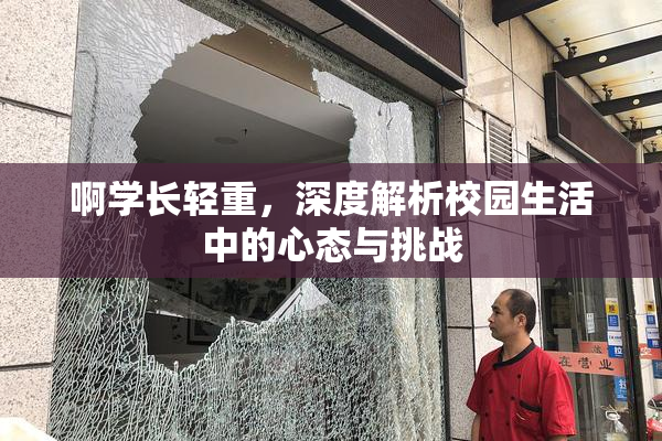 啊学长轻重，深度解析校园生活中的心态与挑战