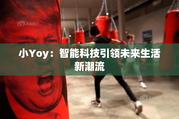 小Yoy：智能科技引领未来生活新潮流