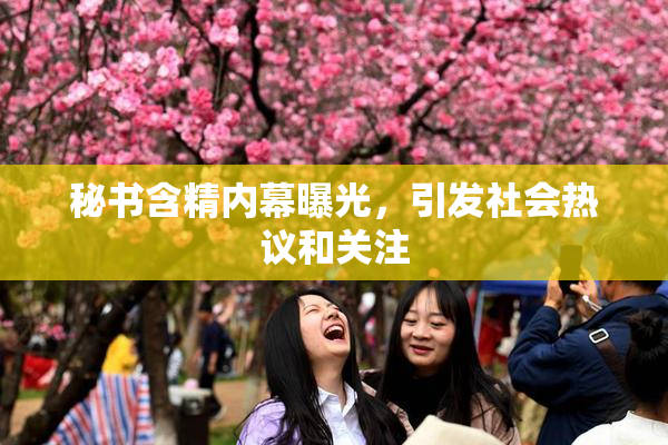 秘书含精内幕曝光，引发社会热议和关注