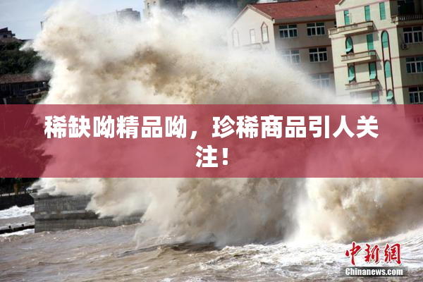 稀缺呦精品呦，珍稀商品引人关注！