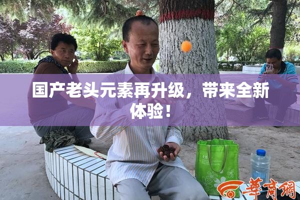 国产老头元素再升级，带来全新体验！