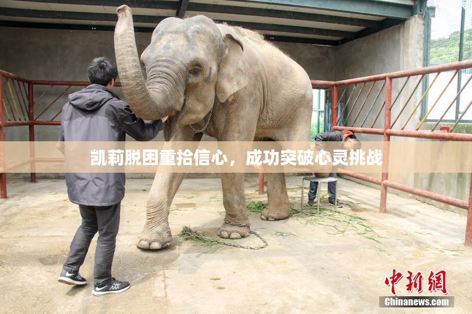 凯莉脱困重拾信心，成功突破心灵挑战