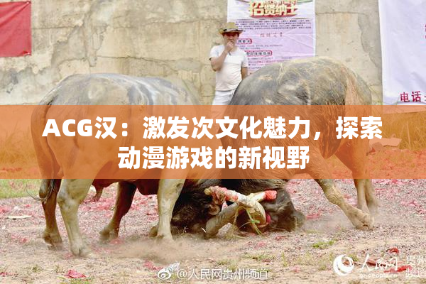 ACG汉：激发次文化魅力，探索动漫游戏的新视野