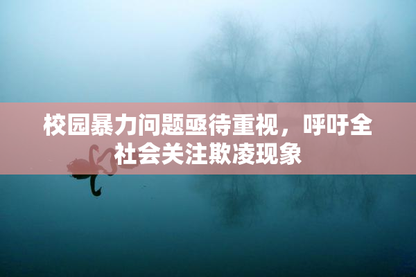 校园暴力问题亟待重视，呼吁全社会关注欺凌现象