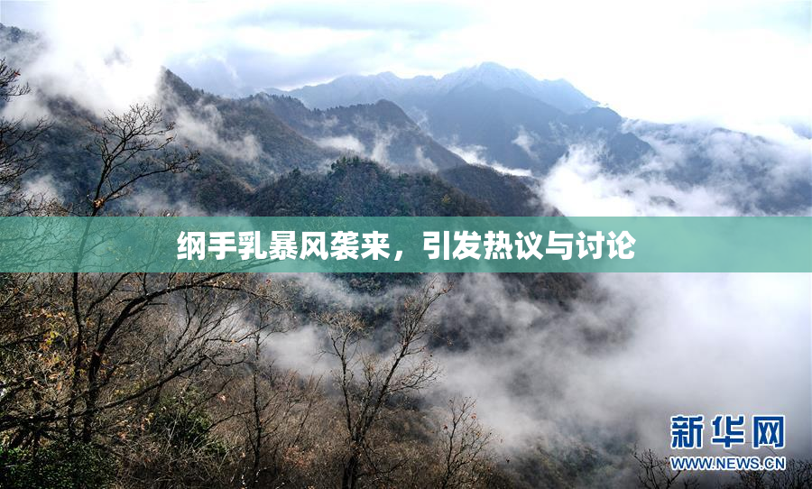 纲手乳暴风袭来，引发热议与讨论