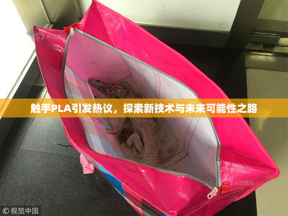 触手PLA引发热议，探索新技术与未来可能性之路