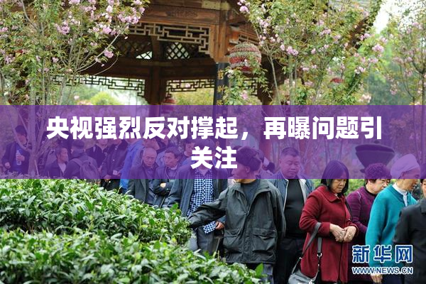 央视强烈反对撑起，再曝问题引关注