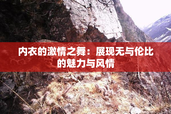 内衣的激情之舞：展现无与伦比的魅力与风情