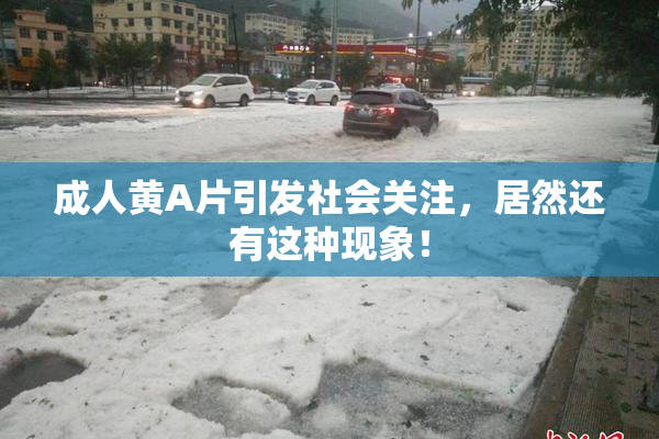 成人黄A片引发社会关注，居然还有这种现象！