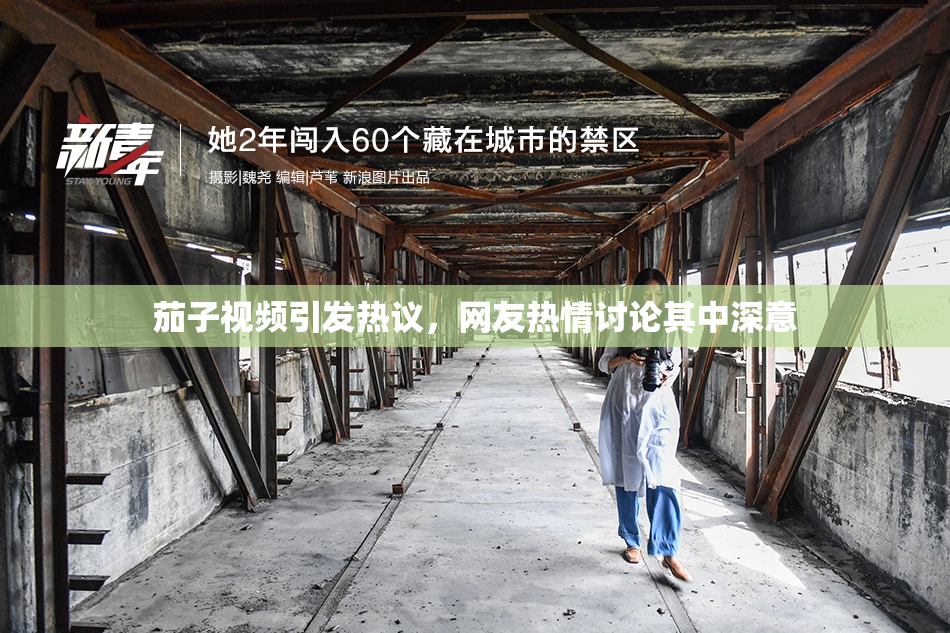 茄子视频引发热议，网友热情讨论其中深意