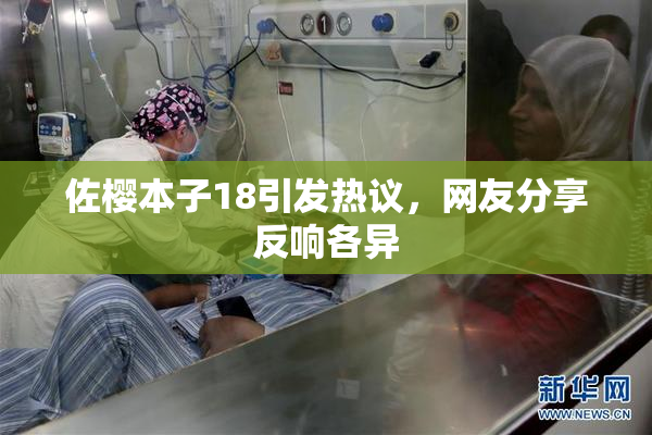 佐樱本子18引发热议，网友分享反响各异