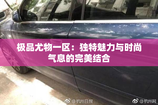 极品尤物一区：独特魅力与时尚气息的完美结合
