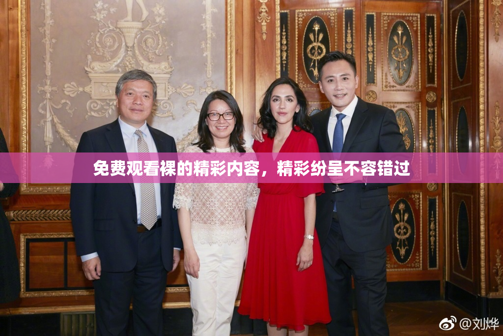 免费观看裸的精彩内容，精彩纷呈不容错过