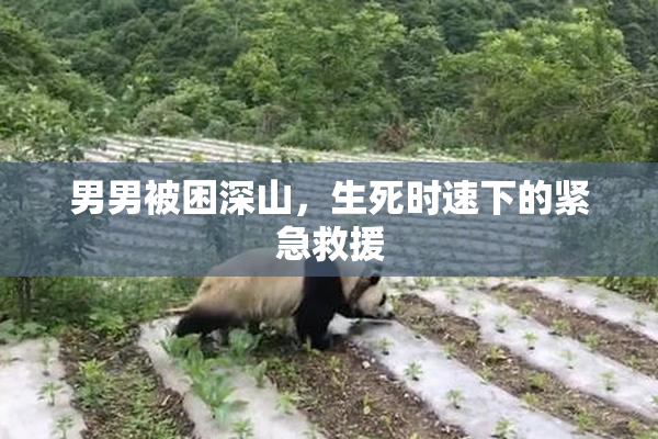 男男被困深山，生死时速下的紧急救援