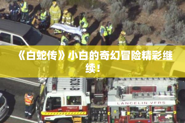 《白蛇传》小白的奇幻冒险精彩继续！