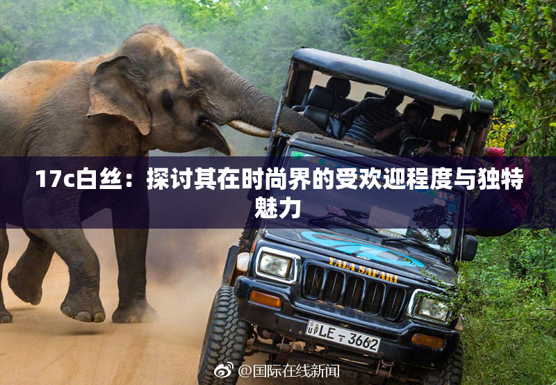 17c白丝：探讨其在时尚界的受欢迎程度与独特魅力