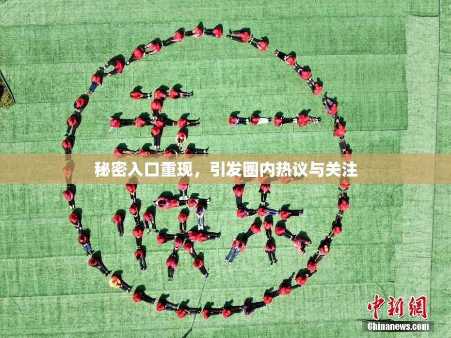秘密入口重现，引发圈内热议与关注