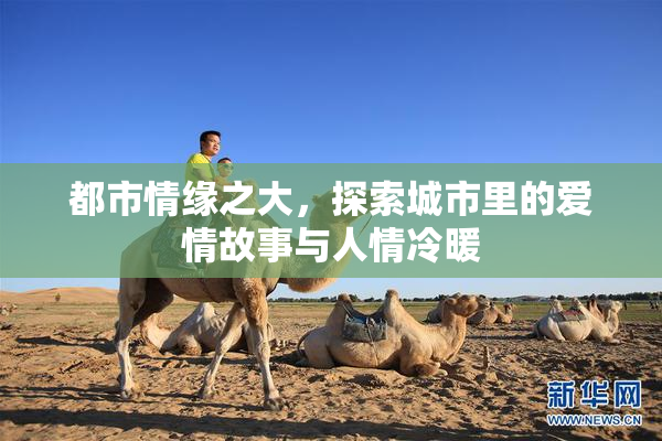 都市情缘之大，探索城市里的爱情故事与人情冷暖