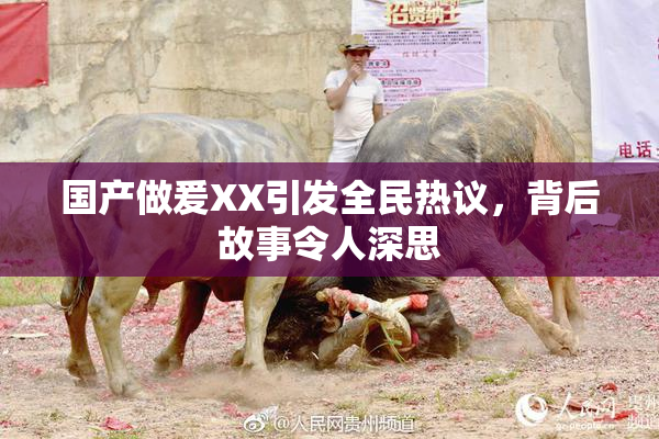 国产做爰XX引发全民热议，背后故事令人深思