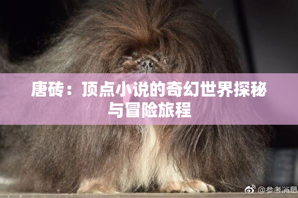唐砖：顶点小说的奇幻世界探秘与冒险旅程