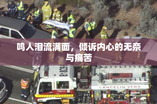 鸣人泪流满面，倾诉内心的无奈与痛苦
