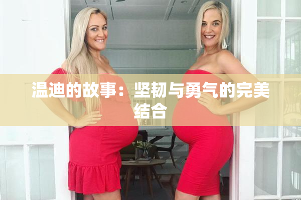 温迪的故事：坚韧与勇气的完美结合