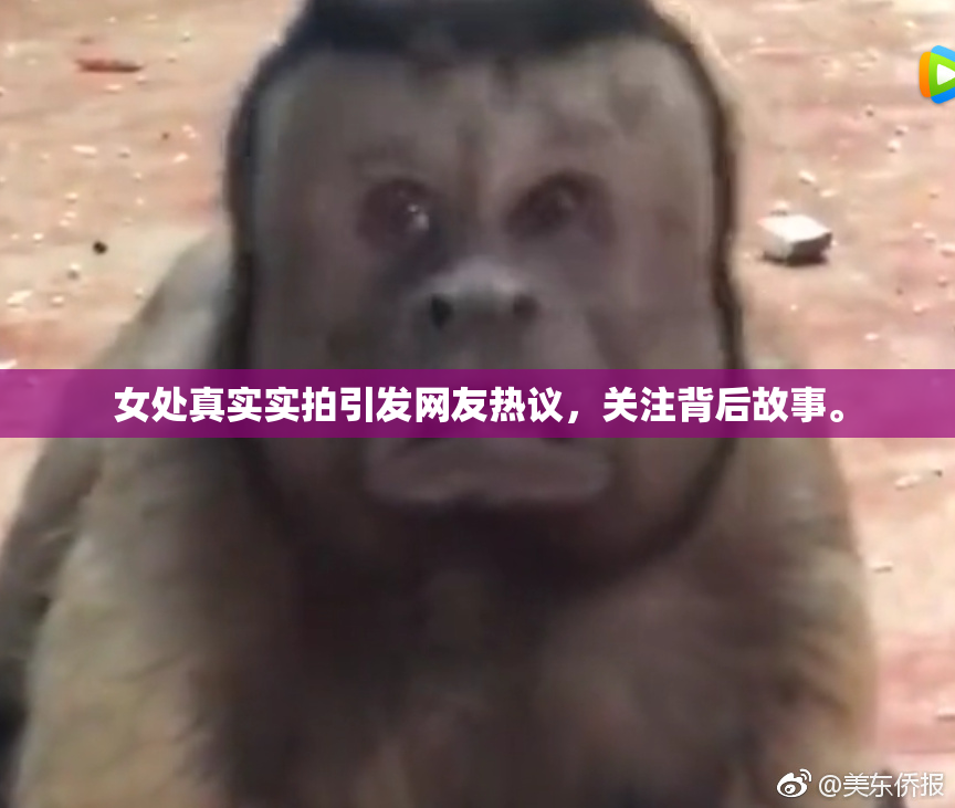 女处真实实拍引发网友热议，关注背后故事。