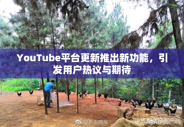 YouTube平台更新推出新功能，引发用户热议与期待
