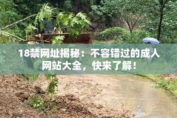 18禁网址揭秘：不容错过的成人网站大全，快来了解！