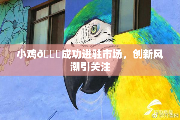 小鸡🐔成功进驻市场，创新风潮引关注