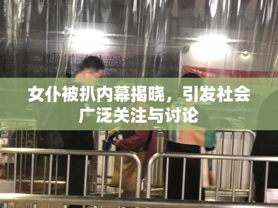 女仆被扒内幕揭晓，引发社会广泛关注与讨论