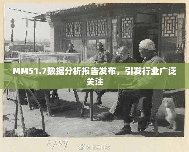 MM51.7数据分析报告发布，引发行业广泛关注