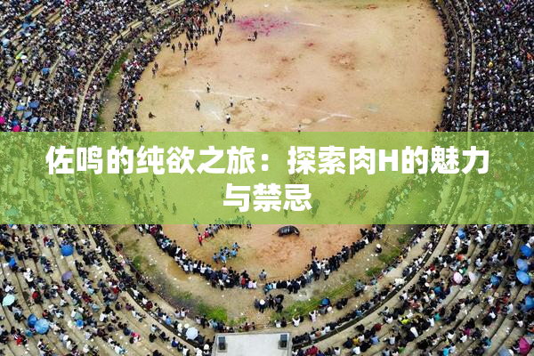 佐鸣的纯欲之旅：探索肉H的魅力与禁忌