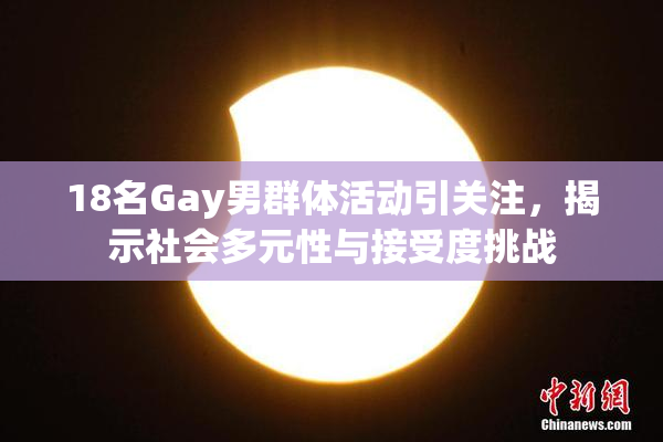 18名Gay男群体活动引关注，揭示社会多元性与接受度挑战