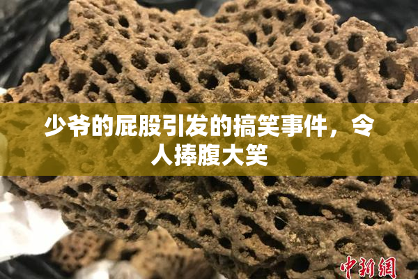 少爷的屁股引发的搞笑事件，令人捧腹大笑