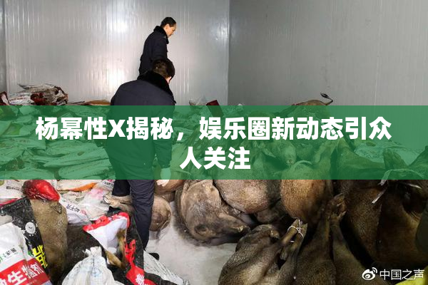 杨幂性X揭秘，娱乐圈新动态引众人关注