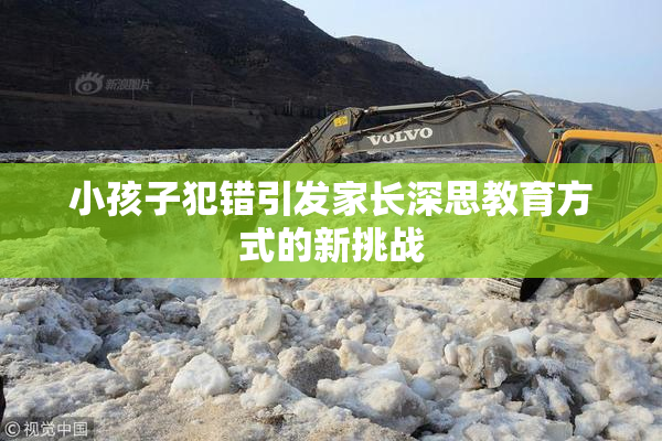 小孩子犯错引发家长深思教育方式的新挑战